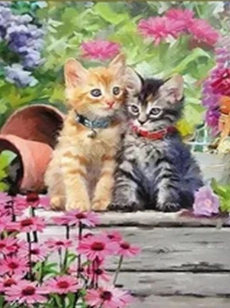 Алмазная мозаика "Два котенка", картина стразами. 20*30 см, (Н1-Два котенка 2030) - Фото 1 Алмазная мозаика "Два котенка", картина стразами. 20*30 см, (Н1-Два котенка 2030) - изображение 1