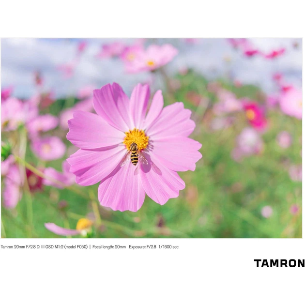 Объектив Tamron AF 20mm F/2.8 Di III OSD M1:2 Sony E (F050SF) [163614] - изображение 20