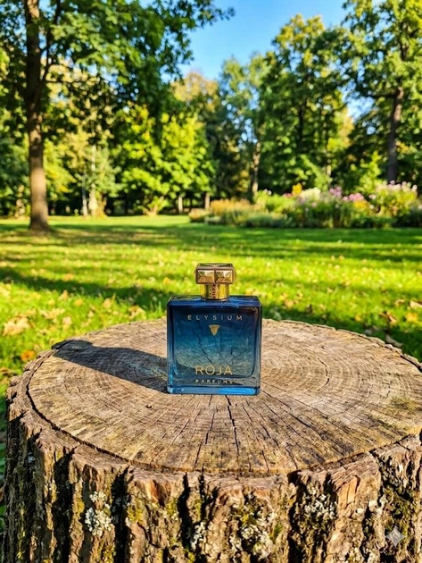 Парфюм Roja Elysium Pour Homme Cologne 100 мл мужские нишевые с цитрусами ветивером и ванилью восточно-древесный аромат - изображение 3