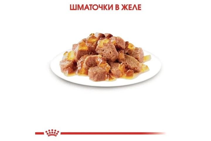 Влажный корм Royal Canin Sterilised wet in jelly для взрослых стерилизованных/кастрированных кошек, 85 г - изображение 3