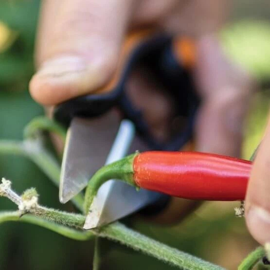 Ножиці для трав Fiskars SP-220 1063326 - зображення 6