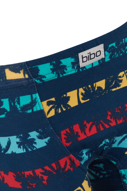 Труси для хлопчика боксерки Bibo 22040 140 (2400000037231) - изображение 3
