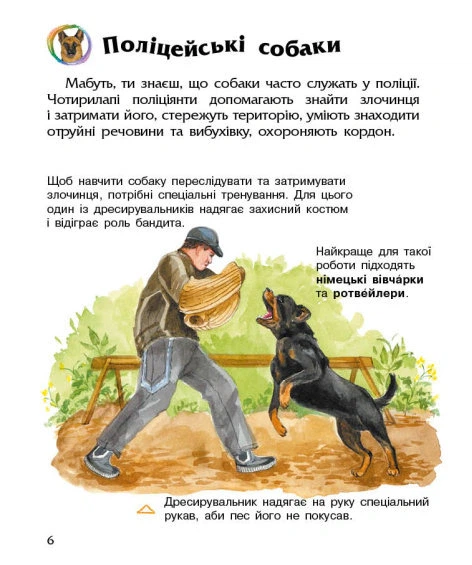 Книга Собаки. Енциклопедія дошкільника. Юлія Каспарова - Фото 4 Книга Собаки. Енциклопедія дошкільника. Юлія Каспарова - изображение 4