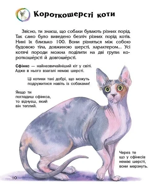 Книга «Коти. Енциклопедія дошкільника». Автор - Юлія Каспарова - Фото 2 Книга «Коти. Енциклопедія дошкільника». Автор - Юлія Каспарова - зображення 2