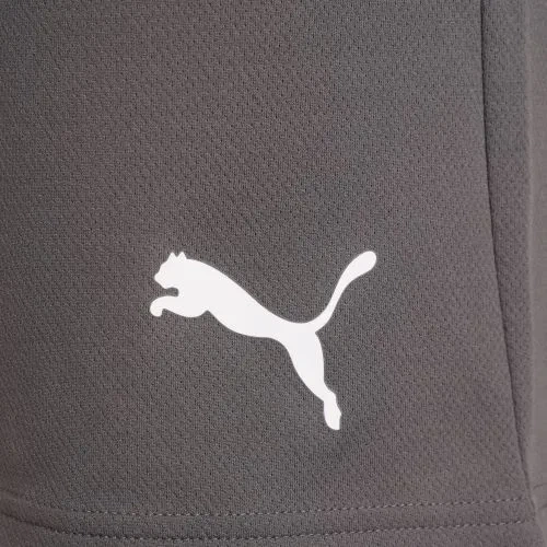 Шорты Puma 100 процентов полиэстер L серые мужские для футбола - изображение 6