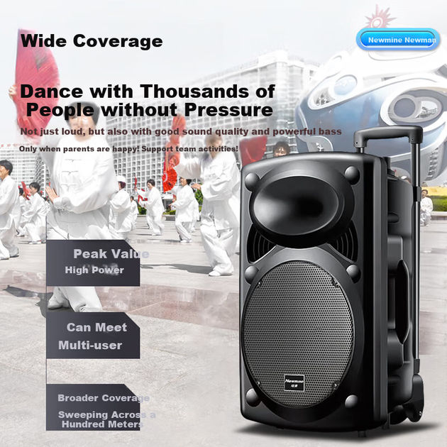 Newmine B12 Square Dance 12-дюймовий зовнішній гучномовець Bluetooth-колесо портативна електрична дерев'яна гітара інструмент для гри в караоке бас-гітара вуличний продавець ріг адаптер - изображение 7