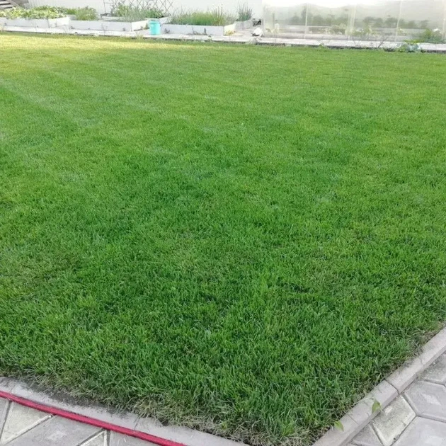 Газонная трава Универсальная Green Up 2 кг - Фото 2 Газонная трава Универсальная Green Up 2 кг - изображение 2