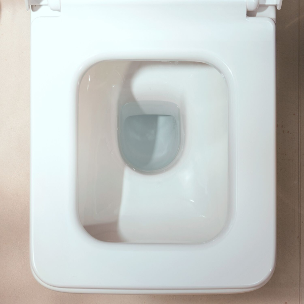 Підвісний унітаз HANSGROHE ELU PURE, білий/глянсовий, настінний - зображення 5