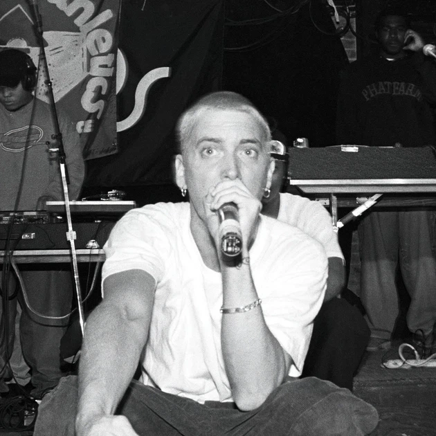 Інтер'єрна картина Емінем, репер, Eminem, Slim Shady, репер, 28×42 см (id6401) - зображення 3