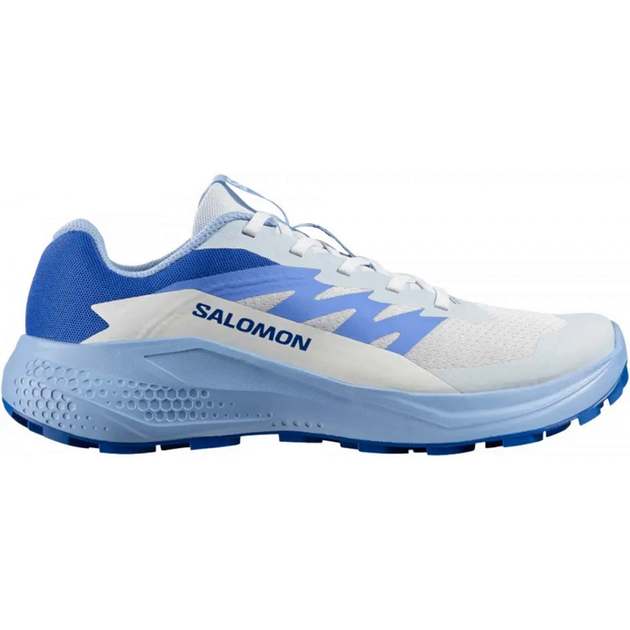 Кросівки Salomon ALPHAGLIDE W 40 (6,5 UK) 25.5 см синій s491431 - Фото 1 Кросівки Salomon ALPHAGLIDE W 40 (6,5 UK) 25.5 см синій s491431 - зображення 1