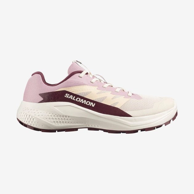 Кросівки Salomon ALPHAGLIDE W 36.5 (4 UK) 23 см бежевий s490928 - Фото 1 Кросівки Salomon ALPHAGLIDE W 36.5 (4 UK) 23 см бежевий s490928 - зображення 1