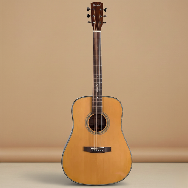 Акустическая гитара Prima DSAG219 Acoustic Guitar - Фото 1 Акустическая гитара Prima DSAG219 Acoustic Guitar - изображение 1