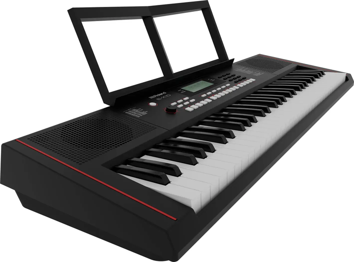 Синтезатор Roland E-X10 - изображение 8