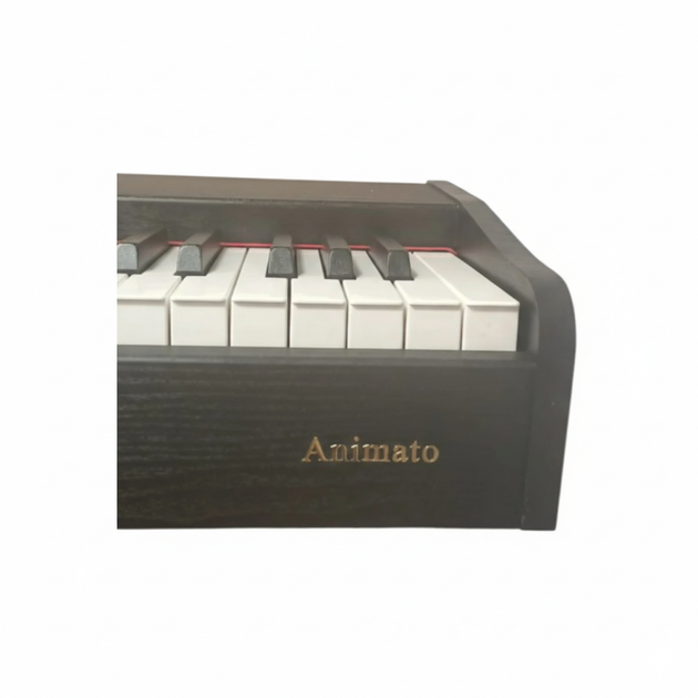 Цифровое пианино Alfabeto Animato - изображение 6