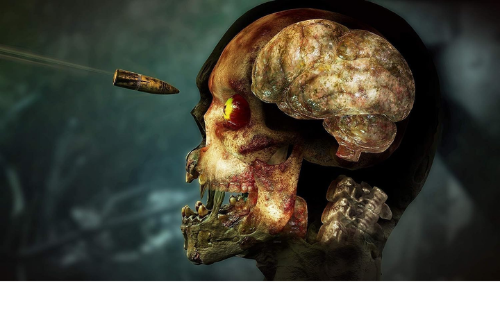 Гра Zombie Army 4: Dead War для PS4 \ PS5 - изображение 4