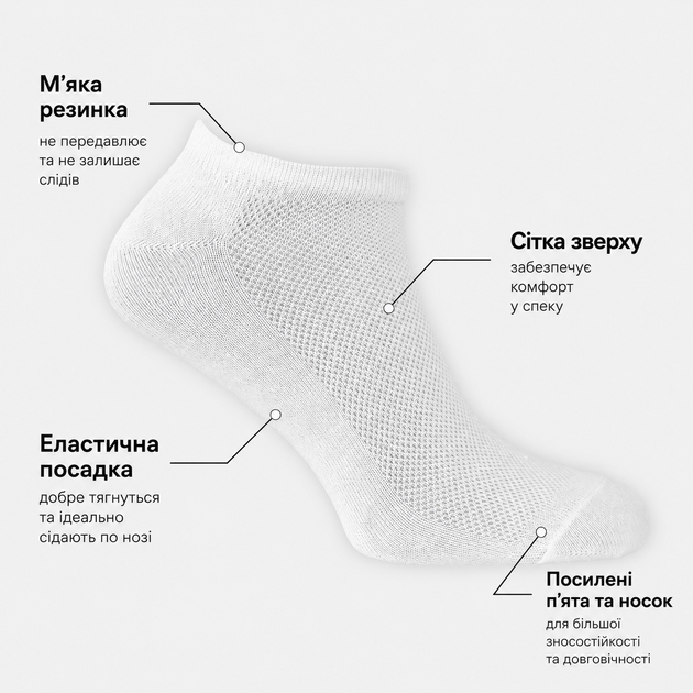 Набор мужских носков Сетка коротких хлопковых SoxBox 6SB-MS-WHT 41-44 6 пар Белый (1030420220003) - Фото 2 Набор мужских носков Сетка коротких хлопковых SoxBox 6SB-MS-WHT 41-44 6 пар Белый (1030420220003) - изображение 2