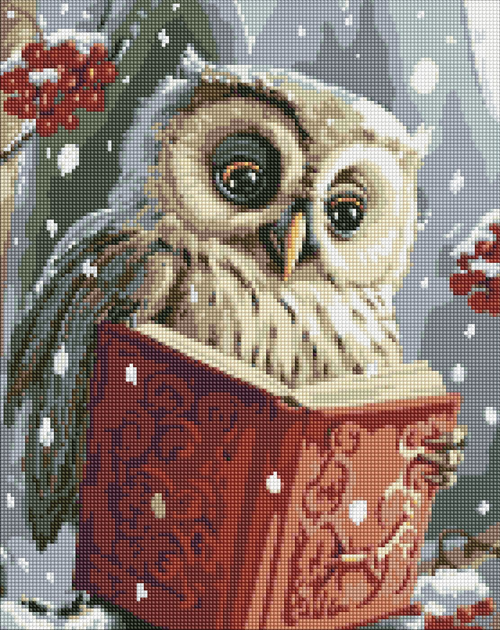 Алмазная мозаика вышивка на подрамнике 5D Умная сова с книгой мудрая совушка птицы 40х50 см AMO7816 - Фото 1 Алмазная мозаика вышивка на подрамнике 5D Умная сова с книгой мудрая совушка птицы 40х50 см AMO7816 - изображение 1