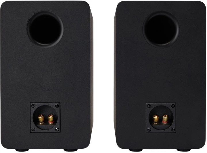 Акустическая система Aiwa SP-A100 Black (8435256898774) - изображение 8