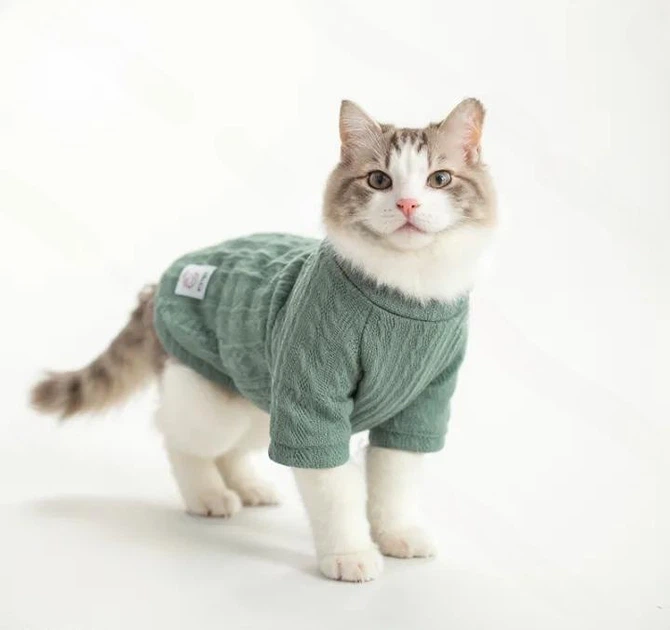 Кофта для котів (кішок) Мереживо XL М'ятний - зображення 5