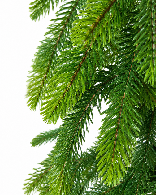 Елка искусственная Forest Elf Green Mix в мешковине, узкая литая 160 см зеленая - изображение 2