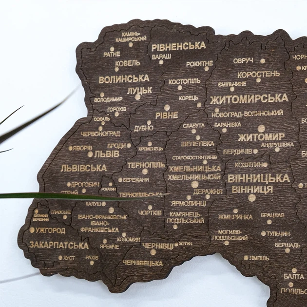 Мапа України настінна одношарова темна без коробки 55*38.5 см Гранд Презент 13 - изображение 2