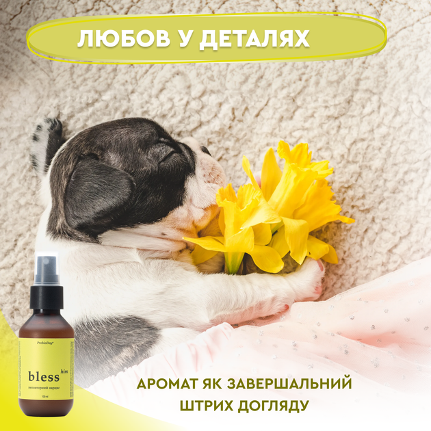 Парфум для собак та котів «Неповторний Нарцис» духи парфумована вода спрей з ароматом нарциса ProbioDay Bless 100 мл - зображення 5