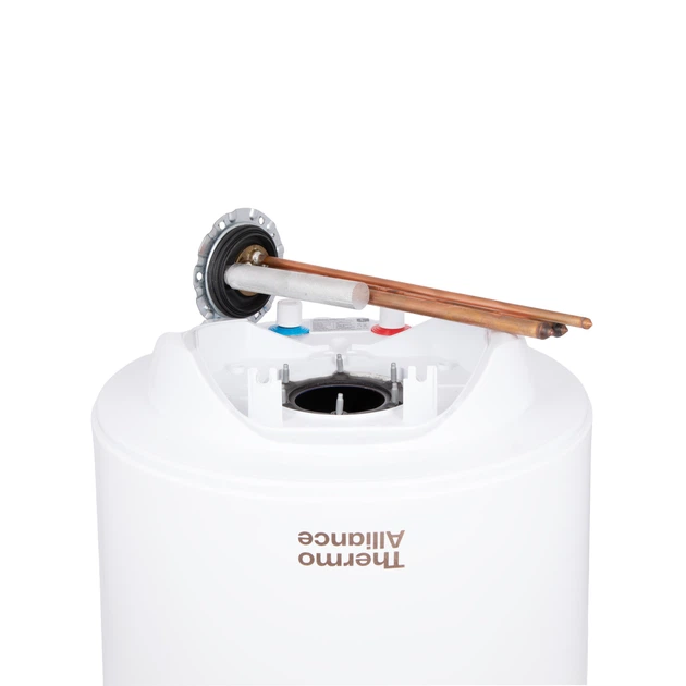Электрический водонагреватель Thermo Alliance Spectra 50 л вертикальный, сухие ТЭНы 1,6 кВт, d 435 мм - изображение 6