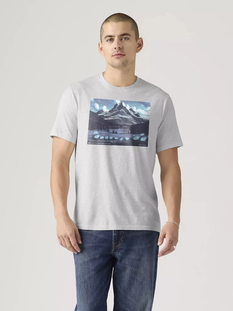 Футболка хлопковая мужская Levi`s 749219726 XL Серая (1159865473) - изображение 3