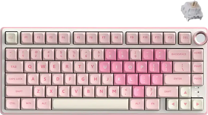 Клавіатура дротова RK ROYAL KLUDGE R75 Pink Melody Gaming Beige Switch (RK-R75-PNKMLDY-BEGSW-US) - Фото 1 Клавіатура дротова RK ROYAL KLUDGE R75 Pink Melody Gaming Beige Switch (RK-R75-PNKMLDY-BEGSW-US) - зображення 1