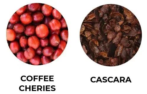 Каскара 500 г. Коста Ріка чай із кавових ягід Cascara TT - зображення 8