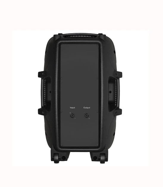 Акустический активный комплект JB15SET550W MP3/FM/BT активная + пассивная - Фото 5 Акустический активный комплект JB15SET550W MP3/FM/BT активная + пассивная - изображение 5