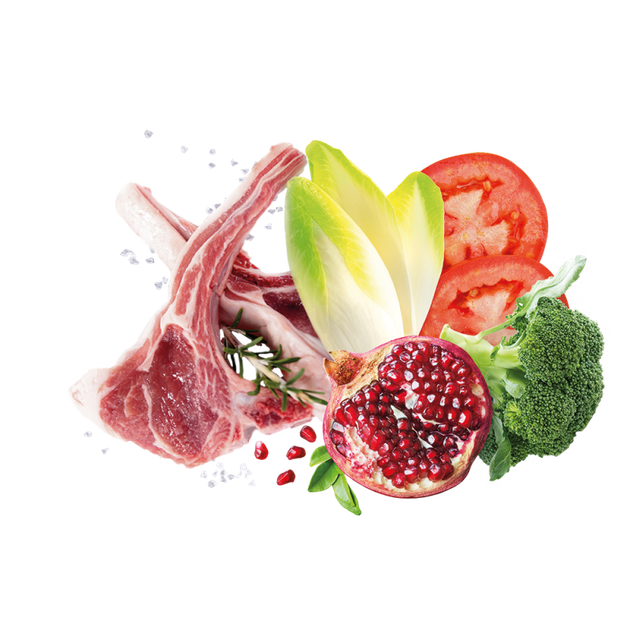 Корм для взрослых собак средних пород Exclusion Adult Lamb Medium Breed с ягненком 12 кг (05176) - изображение 2