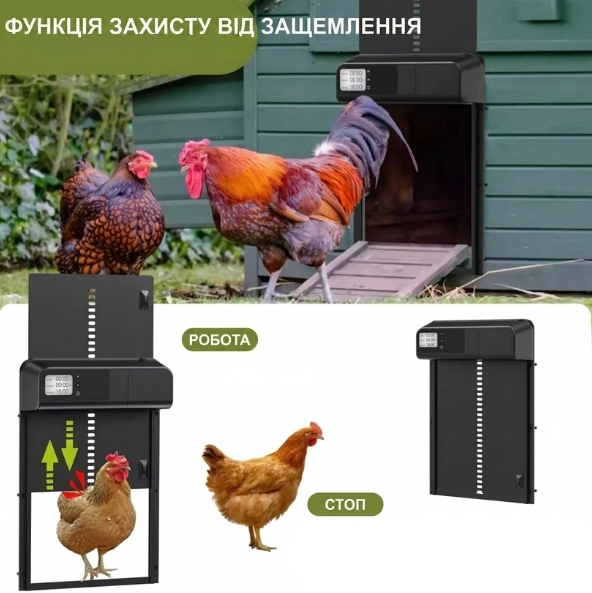 Автоматичні двері для курника з таймером та захистом від защемлення автоматичні двері для птахів - Фото 4 Автоматичні двері для курника з таймером та захистом від защемлення автоматичні двері для птахів - зображення 4