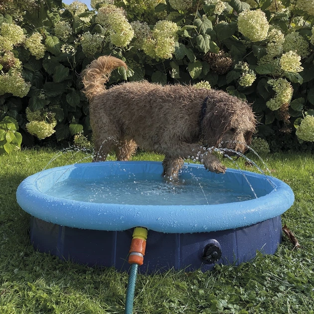 Бассейн для собак Nobby Splash S с фонтанчиками голубой 80x20 см 62297 - изображение 3