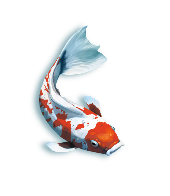 Gra planszowa Rebel Koi (wydanie polskie) (5704339007383) - obraz 7