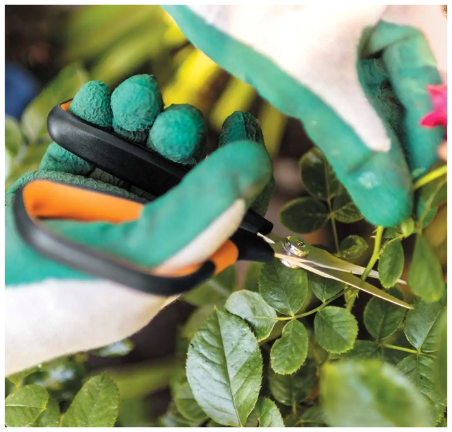 Садовые ножницы 21 см нержавеющая сталь для растений Fiskars LS-1552 - изображение 8