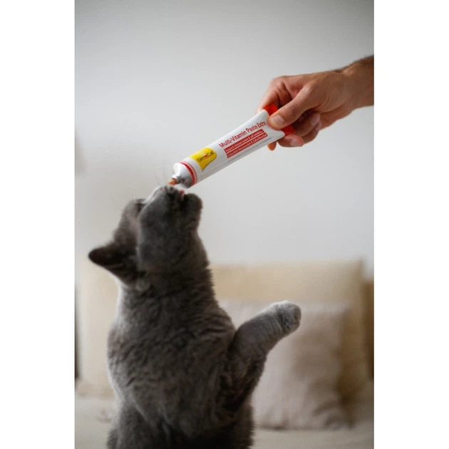 Вітаміни GimCat Every Day Extra мультивітамінна паста для котів для покращення імунітета 100 г - изображение 2