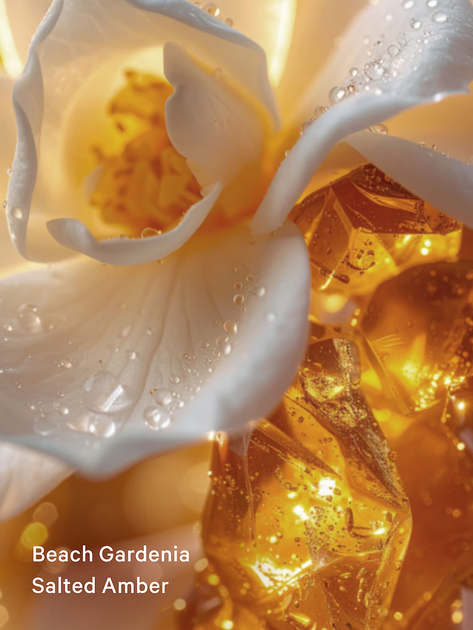 Парфумований лосьйон для тіла з шимером Victoria's Secret Seashell Shimmer 236 мл - зображення 2