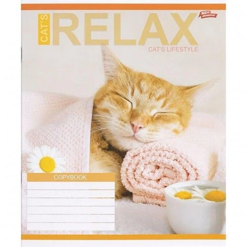 Тетрадь школьная Relax Cats в клетку на 18 листов комплект 20 штук цветная тетрадка для учебы и записей с ярким принтом котиков - изображение 2