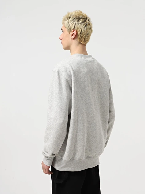 Свитшот Dickies 8926421 Светло-серый XS DIM466 - изображение 3