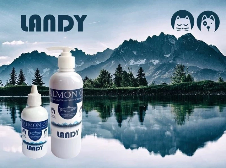 Landy Salmon Oil - Лососева олія (риб`ячий жир) (500 мл) - Фото 2 Landy Salmon Oil - Лососева олія (риб`ячий жир) (500 мл) - изображение 2