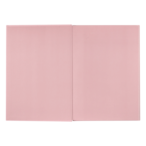 Книга канцелярська тверда обкладинка А4 96 аркушів # офсет BUROMAX MORANDI STYLE, пудрова (8) /BM.2400-457i/ - изображение 5