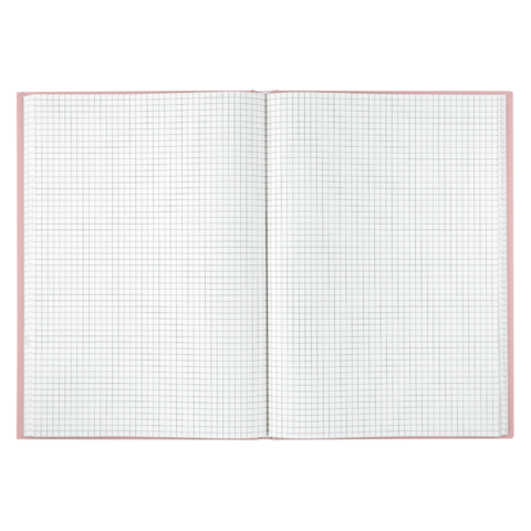 Книга канцелярська тверда обкладинка А4 96 аркушів # офсет BUROMAX MORANDI STYLE, пудрова (8) /BM.2400-457i/ - изображение 6