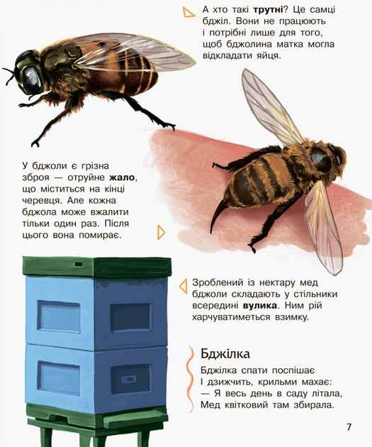 Детская энциклопедия про насекомых 614014 для дошкольников - Фото 2 Детская энциклопедия про насекомых 614014 для дошкольников - изображение 2