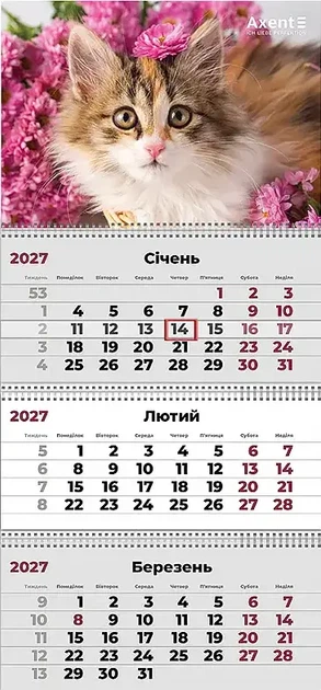 Календарь настенный Axent Cats 3 на 3 пружинах квартальный на 2027 год (8803-27-9-A) - Фото 1 Календарь настенный Axent Cats 3 на 3 пружинах квартальный на 2027 год (8803-27-9-A) - изображение 1