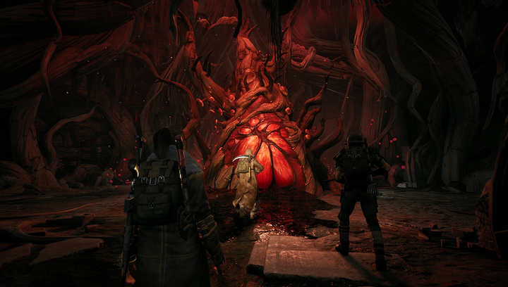 Игра Nintendo Switch Remnant: From the Ashes Английская Версия Б/У - изображение 7