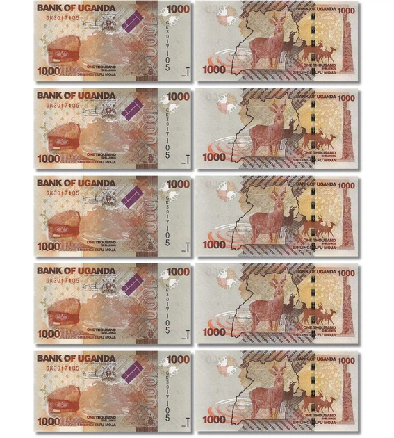 Набір 10 банкнот 1000 шилінгів Уганда 2024 рік UNC - изображение 2