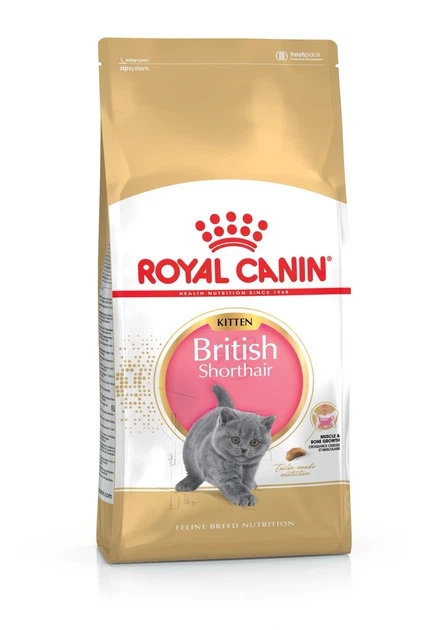 Сухий корм для кошенят Royal Canin British Shorthair Kitten, для кошенят породи Британська короткошерста, 2 кг - Фото 1 Сухий корм для кошенят Royal Canin British Shorthair Kitten, для кошенят породи Британська короткошерста, 2 кг - изображение 1