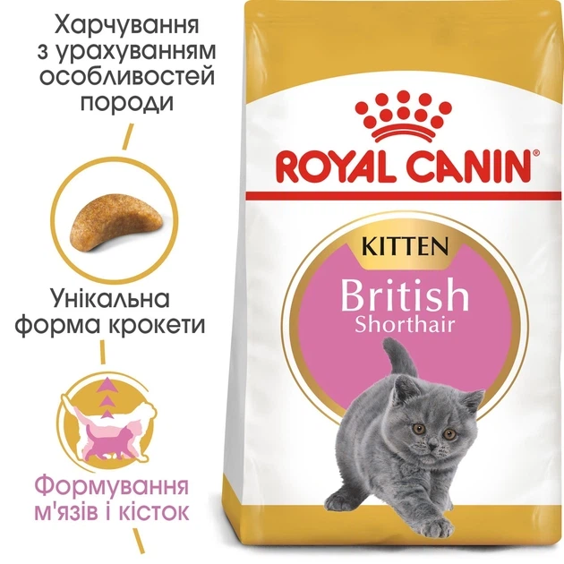 Сухий корм для кошенят Royal Canin British Shorthair Kitten, для кошенят породи Британська короткошерста, 2 кг - Фото 2 Сухий корм для кошенят Royal Canin British Shorthair Kitten, для кошенят породи Британська короткошерста, 2 кг - изображение 2