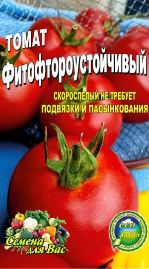 Насиня Томат Фітофторостійкий - 200шт - Фото 1 Насиня Томат Фітофторостійкий - 200шт - изображение 1